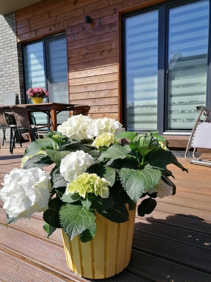 Geltoni Apartamentai Palanga Eksteriør bilde