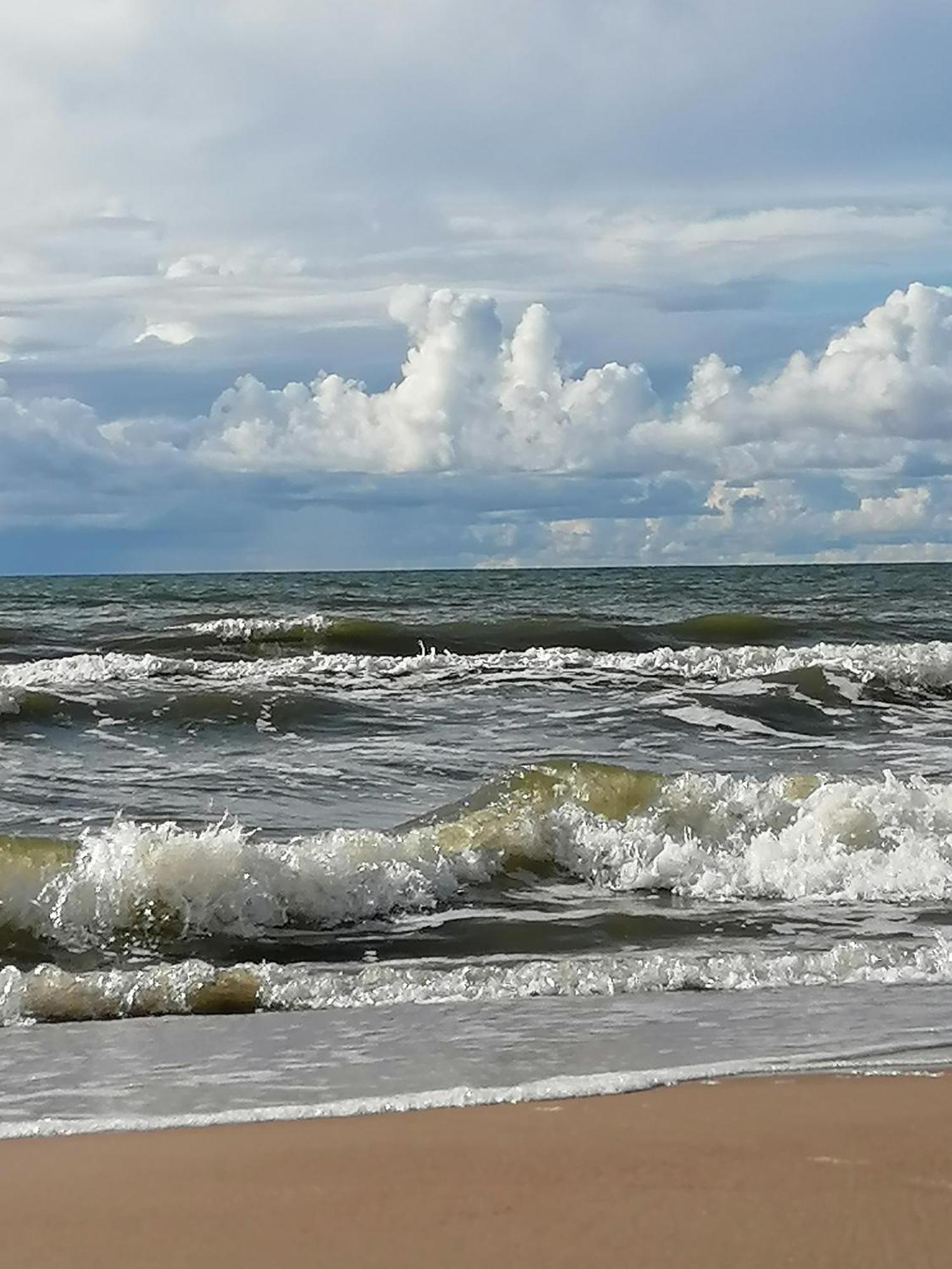 Geltoni Apartamentai Palanga Eksteriør bilde