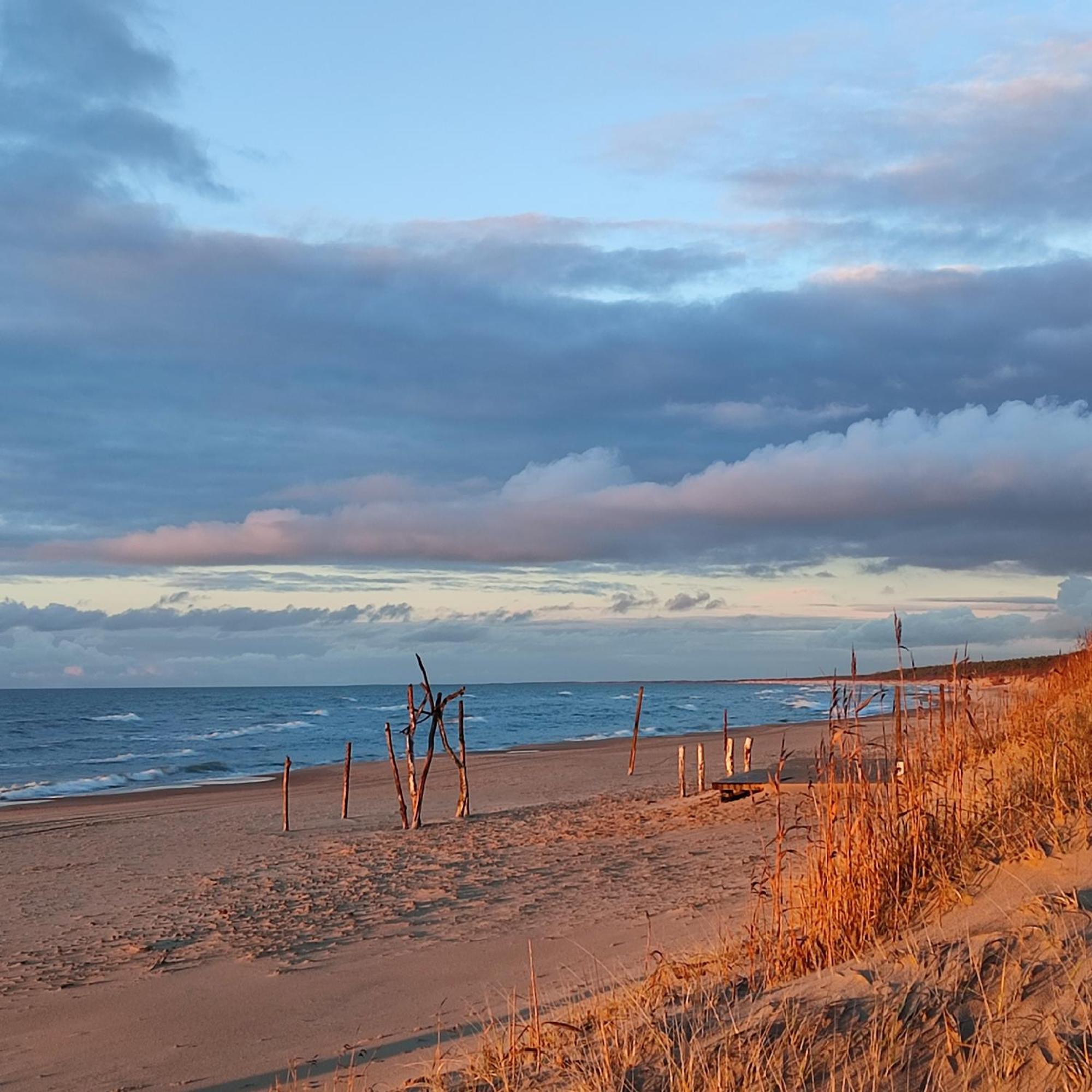 Geltoni Apartamentai Palanga Eksteriør bilde